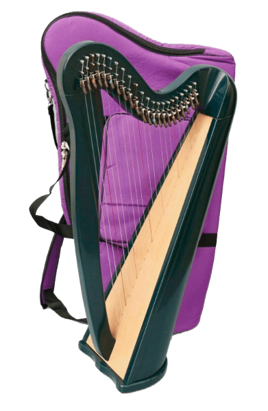 New 22 Strings Harp, Fully Levered and Carry Bag