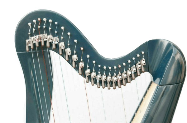 New 22 Strings Harp, Fully Levered and Carry Bag