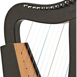 12 String Black Celtic Harp, Rosewood Irish Engraved Harp and Free Black Bag